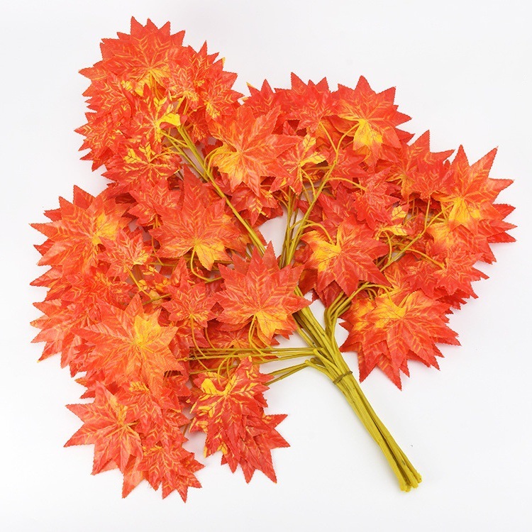 Petite branche de feuille d'érable à 5 fourches, rouge