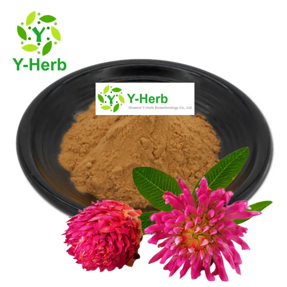 โคลเวอร์แดงเมล็ดสมุนไพรดอกไม้สารสกัดจากผงไอโซฟลาโฟน 20% 40% Trifolium Pratense/โคลเวอร์แดงสารสกัดจากผง