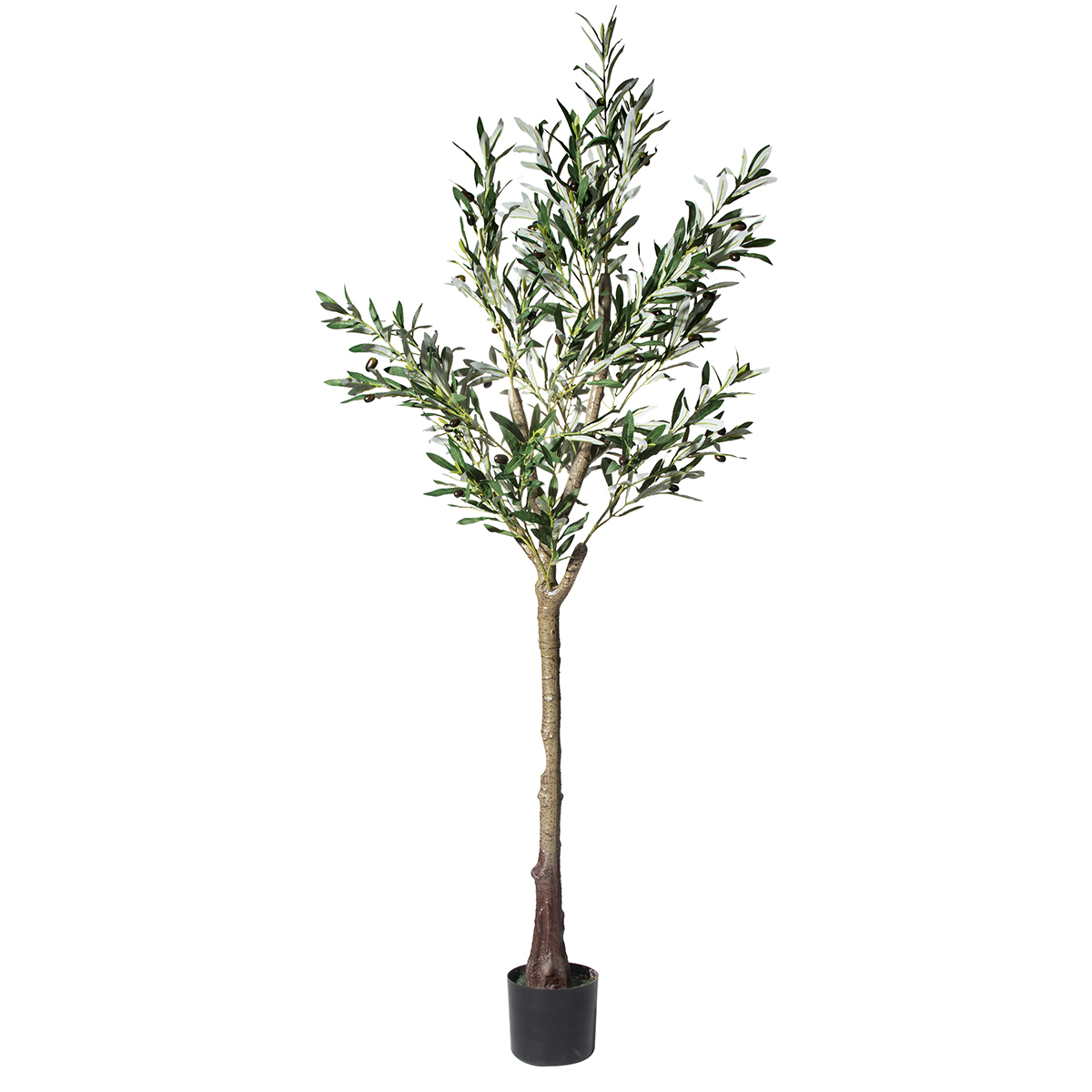 Olivo artificiale con frutti, 165 cm (5,41 ft)