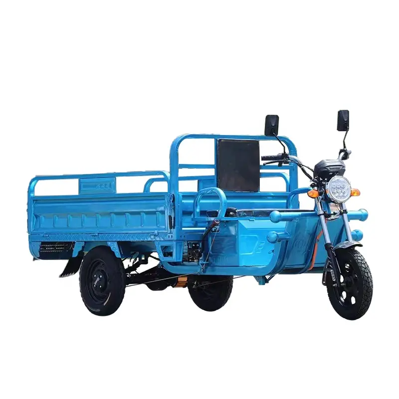 中国の安いe-Trikes3輪貨物電気三輪車オートバイ3輪大人