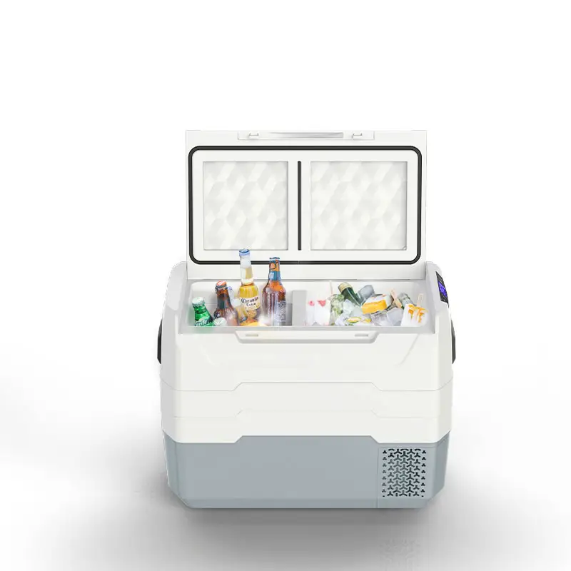 WAYCOOL TG/TEG45 40L Mini frigorifero frigorifero per camera da letto auto con compressore per campeggio all'aperto con CE CB SAA