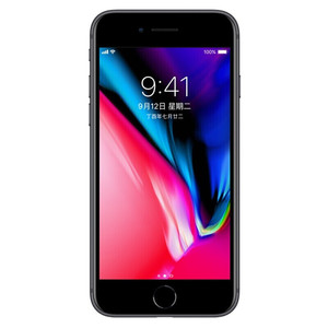 8プラス64 GB 256GB