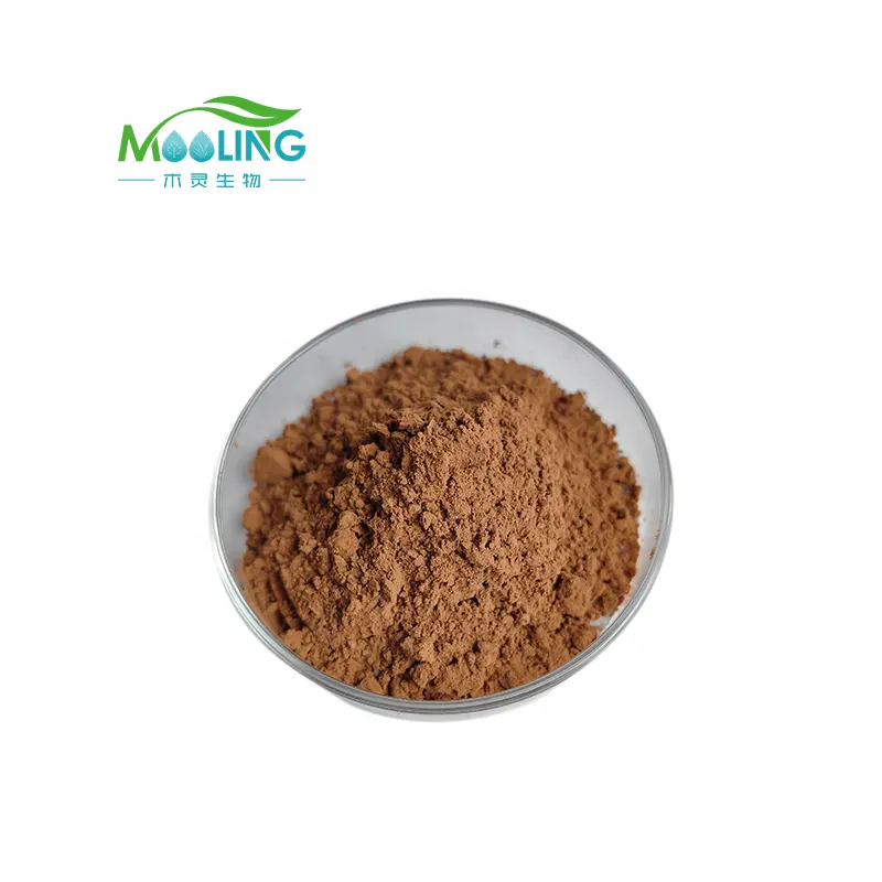 Wholesale High Quality 100:1 200:1 Tongkat Ali Extract Powder CAS 84633-29-4