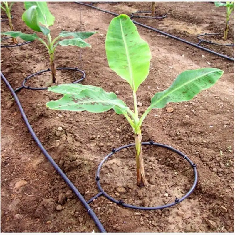 Low Cost Drip And Sprinkler Irrigation System