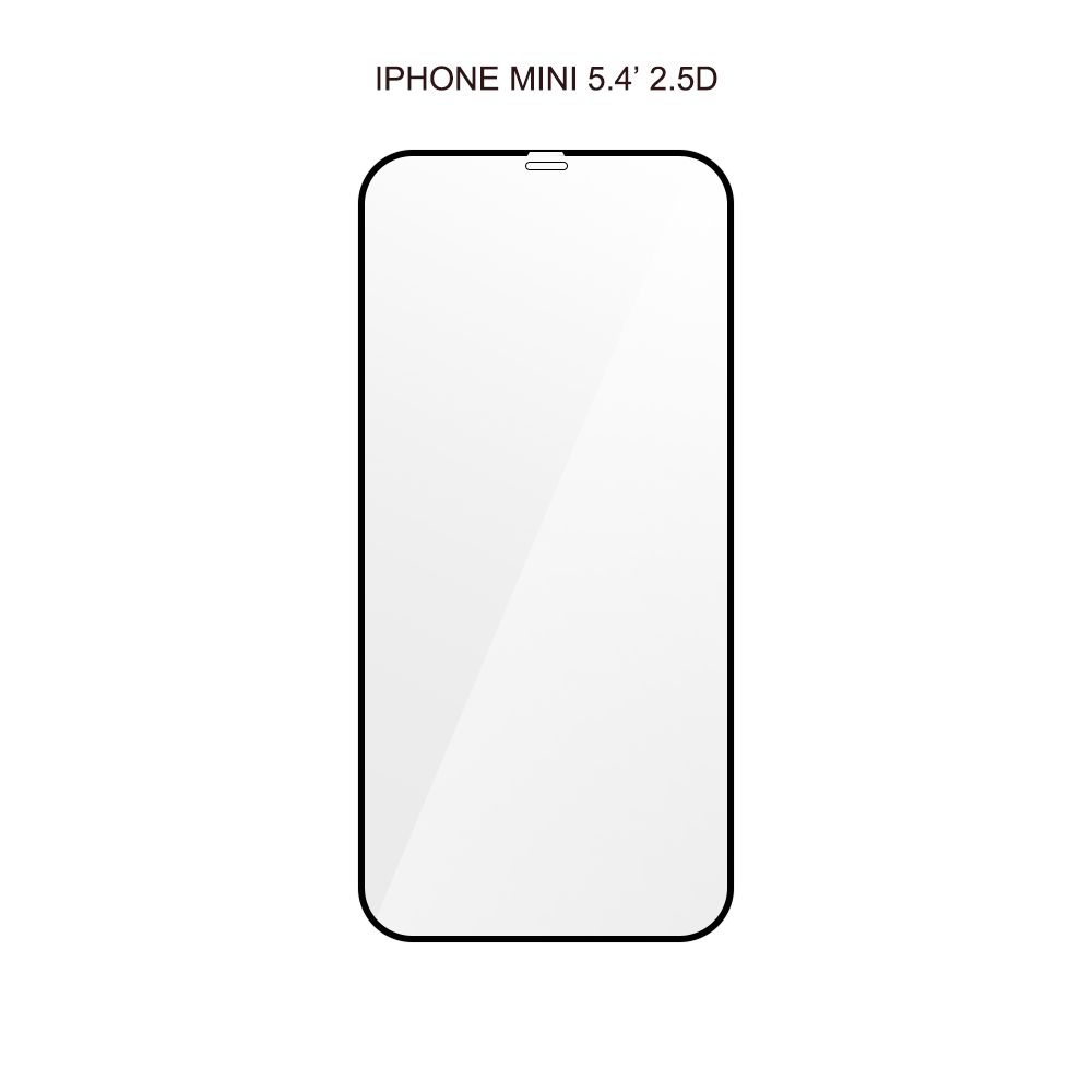 Pour l'iPhone 12 mini
