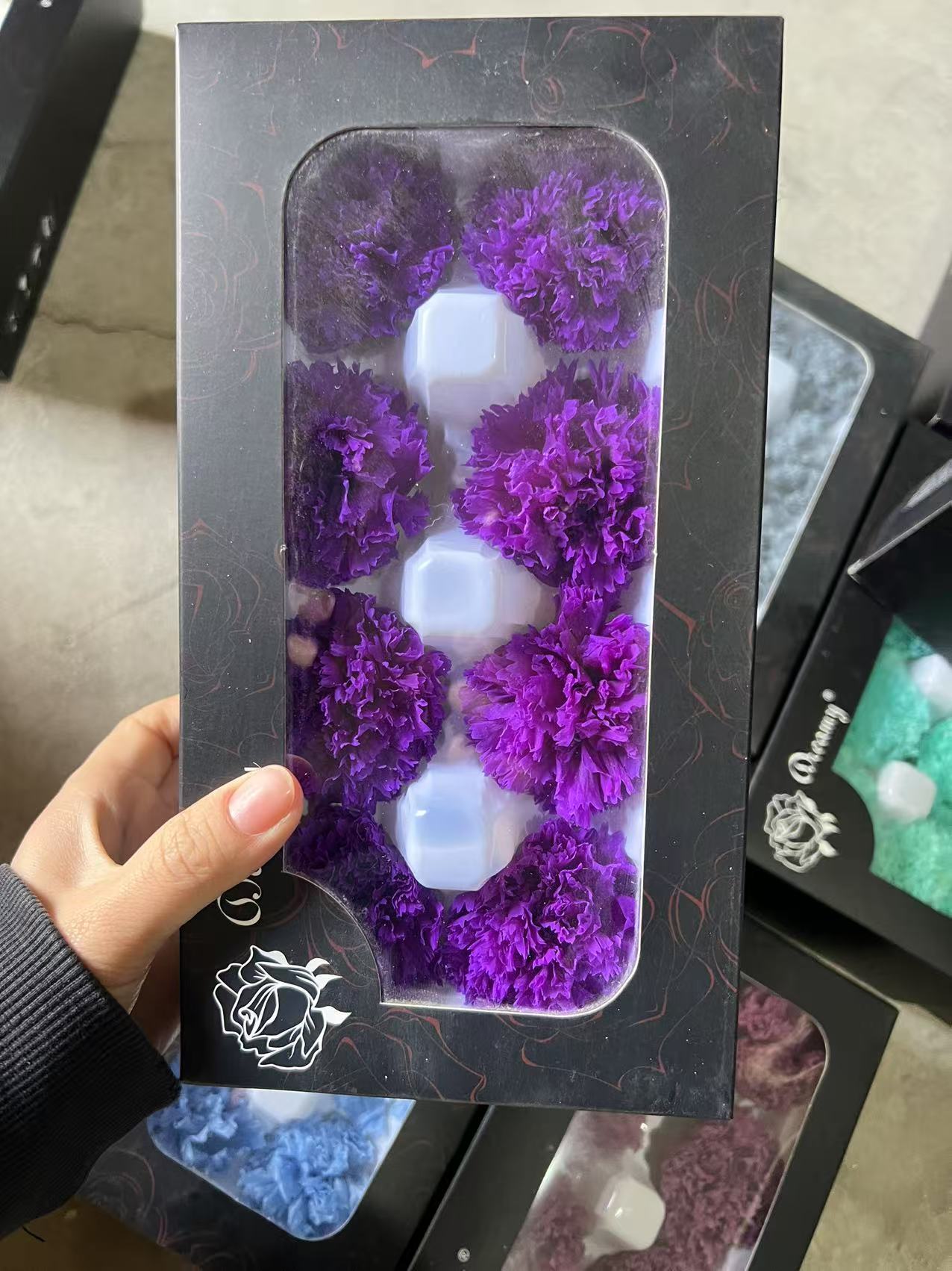 Viola