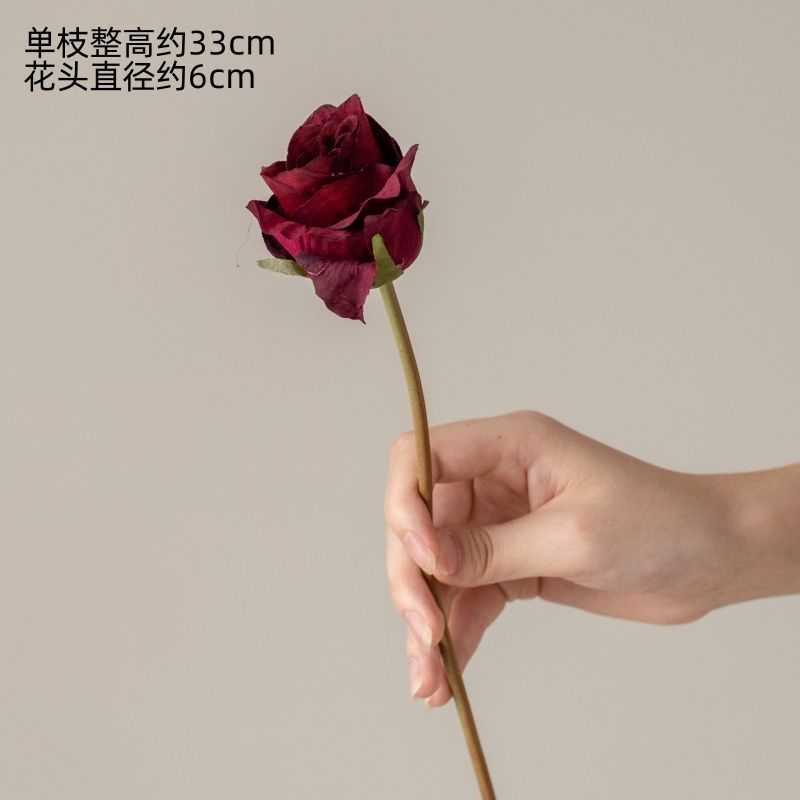 Rose Elsa Écrue Écrue (1 branche)