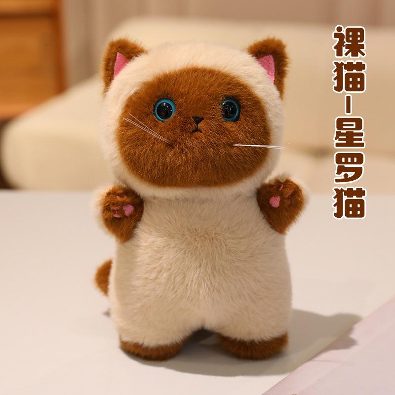 Naked cat - star cat