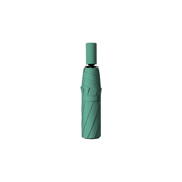 Vert (Version Automatique)