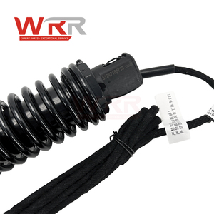 WRR 51247185713 pnömatik bahar destek çubuğu BMW 7 serisi F01 F02 BMW F04 740Li 760Li için arka bagaj kapağı sol tarafında - Product Image 3