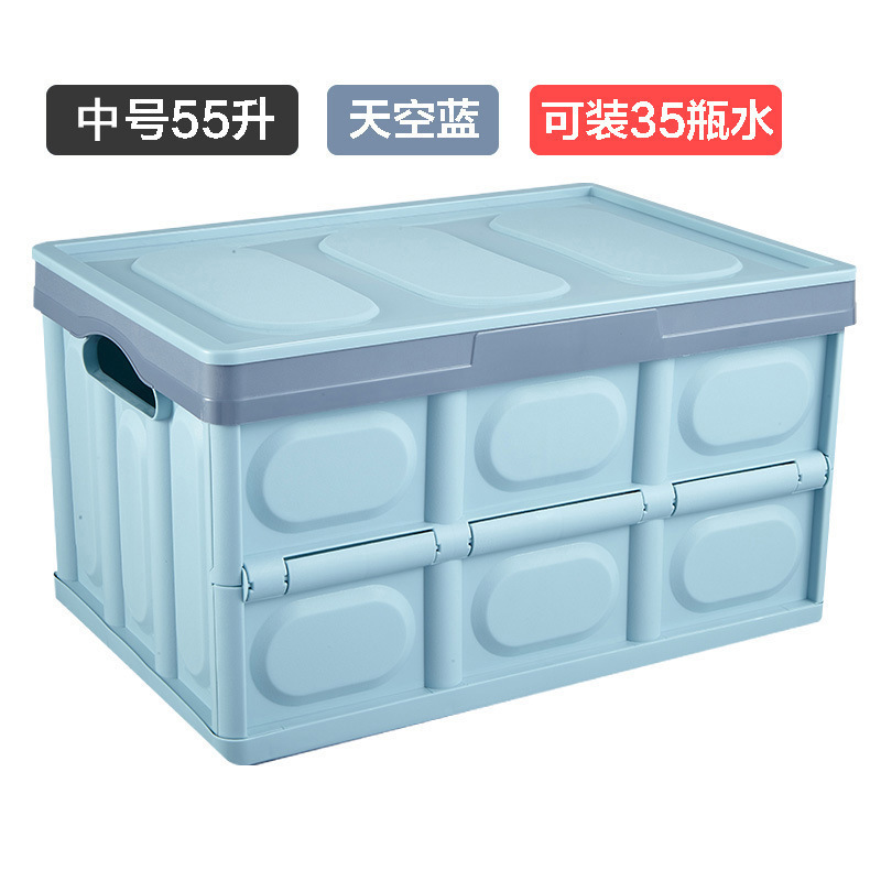Blue Medium Size (55L, 45*30*25cm)