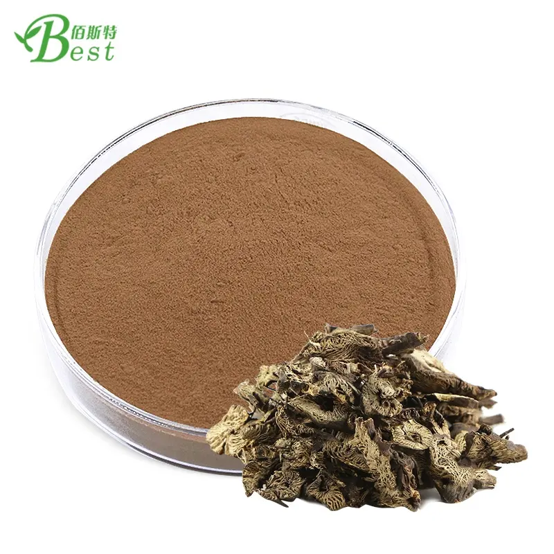 Melhor venda black cohosh herb/ black cohosh/ cimicifuga romose l 10:1