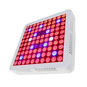スマート100W-300WフルスペクトラムLED成長ライトキットタイマー付き温室水耕栽培および種子始動用
