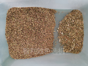 Quinoa Chili Carrots <strong>Cucumber</strong> Tomatoes Broccoli Shallots Optical Ccd <strong>Color</strong> <strong>Sorting</strong> <strong>Machine</strong> Seed <strong>Color</strong> Sorter - Product Image 5