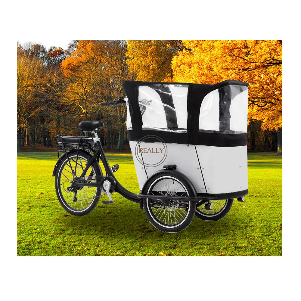 2024 adulti Cargo elettrico bici con pedale su misura triciclo che trasportano i bambini uso della famiglia della bicicletta per la vendita