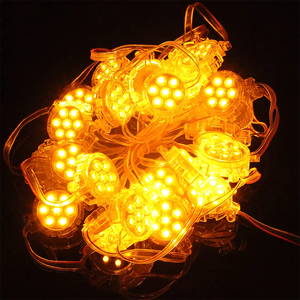 Hot Selling <strong>LED</strong> <strong>Pixel</strong> <strong>Module</strong> Addressable 50mm 24V RGB <strong>Pixel</strong> <strong>LED</strong> IP67 Waterproof for Landscape Lighting Project - Product Image 6