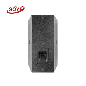 High-end 10-inch Dante <strong>Network</strong> Active Speaker 8ohm Impedance Single Wooden Audio System for Stage Outdoor Use Included <strong>Software</strong> - Product Image 6