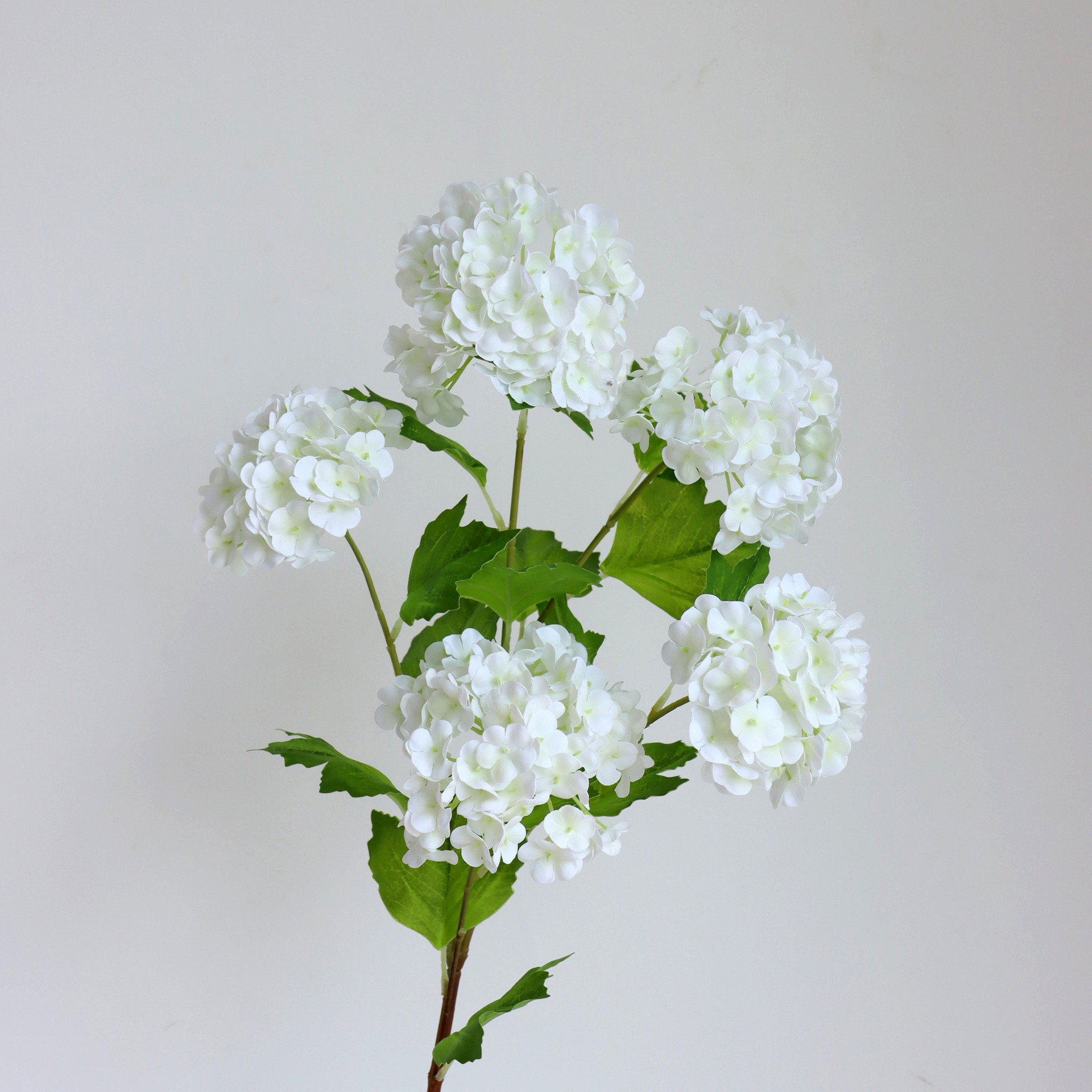 White 1