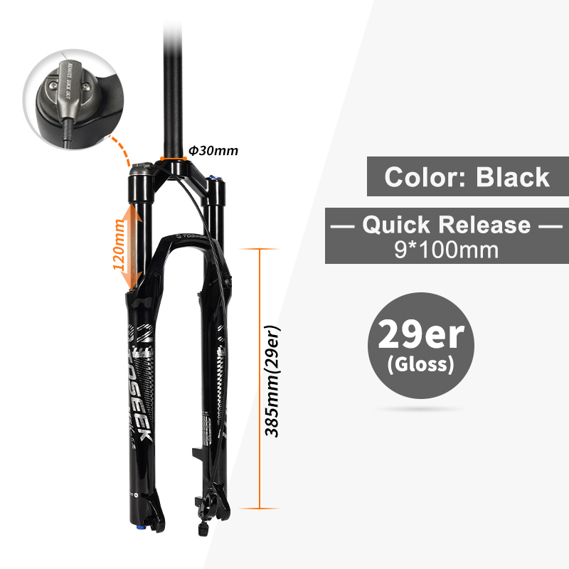 Black 29er