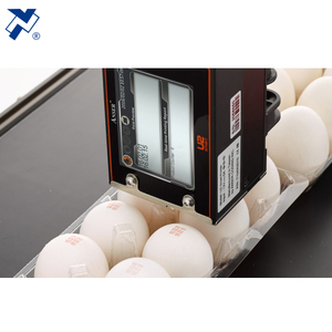 Codificación de número de lote de impresora de inyección de tinta térmica en línea U2 Anser para máquina de embalaje de sello de llenado de forma horizontal Sistema de embalaje HFFS - Product Image 6