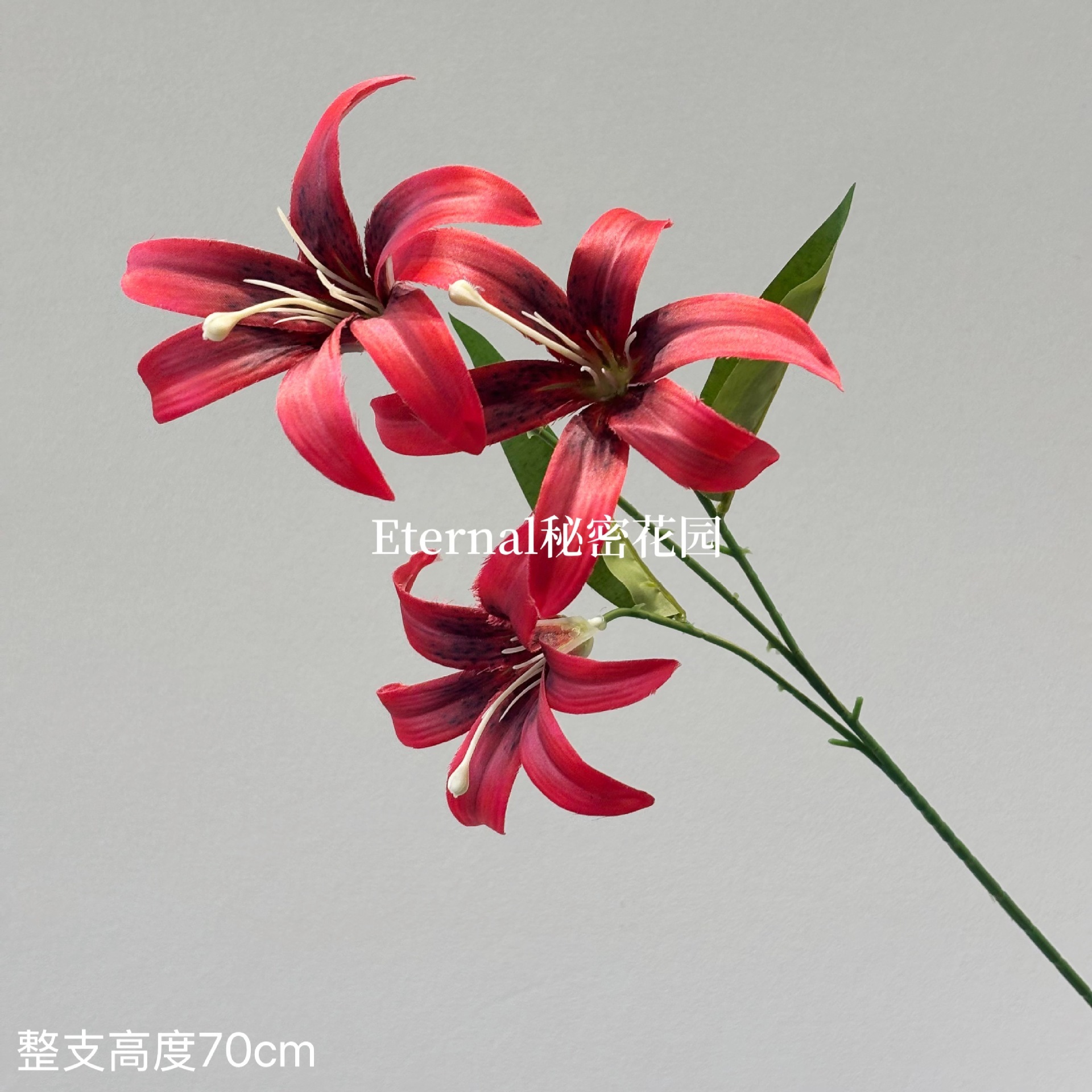 Lys doré rouge