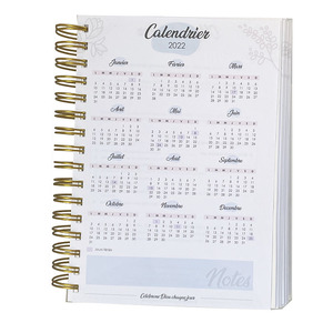 Suministros de oficina papelería 2024 Wiro o encuadernación planificador diario semanal impresión personalizada Bloc de notas cuaderno espiral dorado con caja - Product Image 2