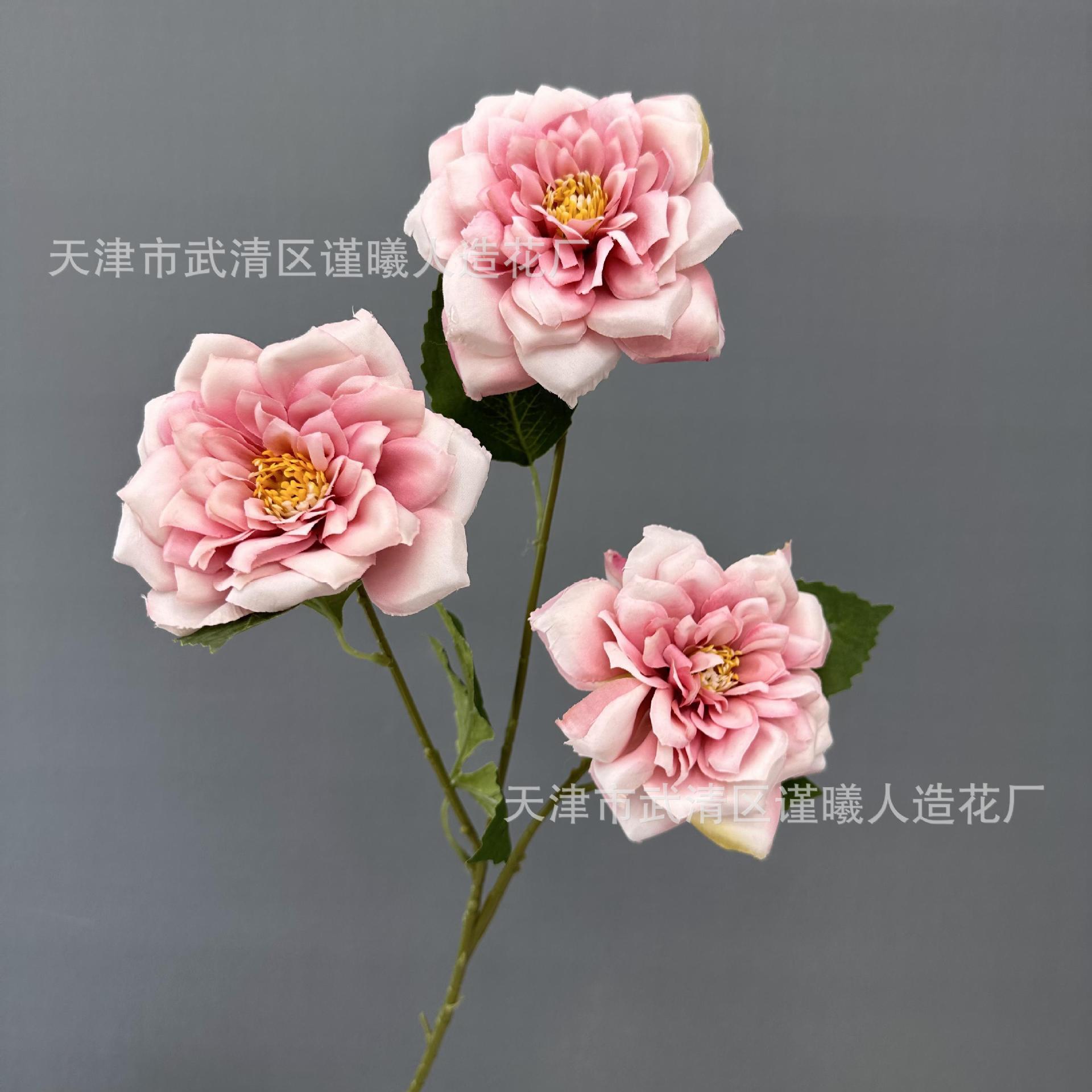 Roses élégantes