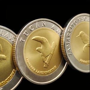 WD Custom Brass Two-<strong>Tone</strong> Blank <strong>Coin</strong> Personalized 40mm Commemorative <strong>Coins</strong> for Printing and Custom Engraving - Product Image 3