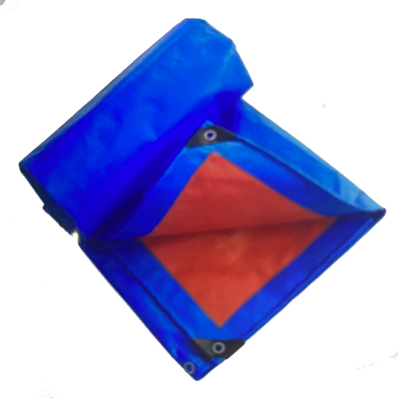 Orange/Blue