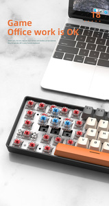 Teclado mecánico RGB personalizado con 68 teclas, Teclado mecánico Wolf T8 gratis para tableta, portátil, teclado para juegos de ordenador