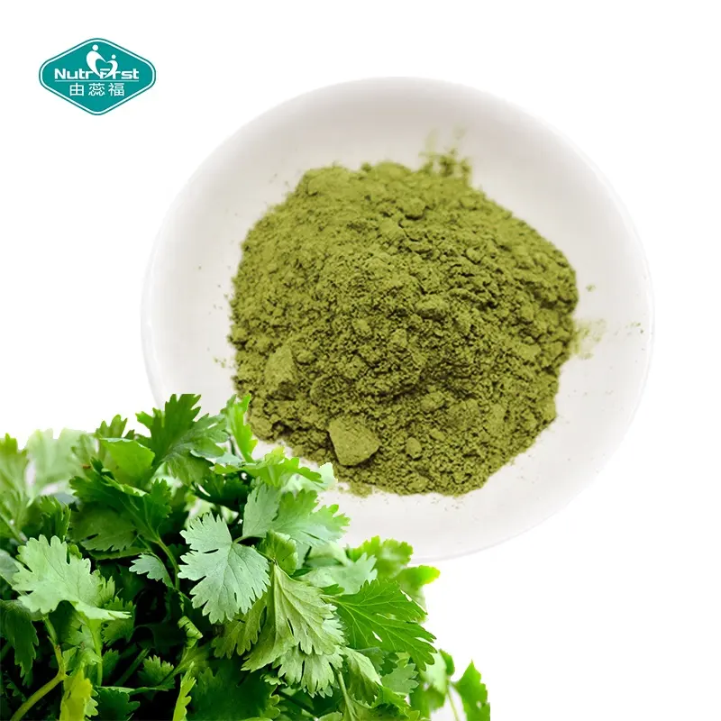 Nutrifirst Vegetable Powder Professional Manufacturer 100% Pure Freeze Dried Coriander Food Additive Powder