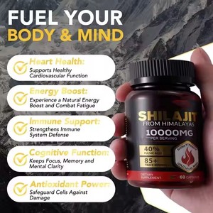 Grosir alami organik kapsul Shilajit Label pribadi Resin Shilajit murni kapsul suplemen diet kesehatan Himalaya - Product Image 6