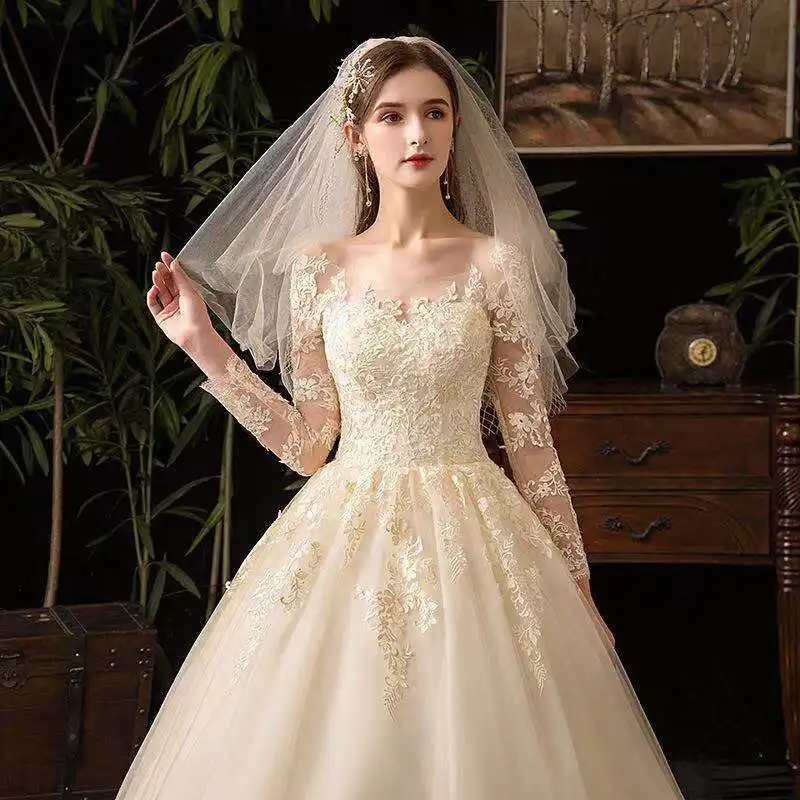 Vestido de noiva luxuoso, vestido de noiva com manga longa e laço, cor champanhe, organza, vestido de casamento, 2019