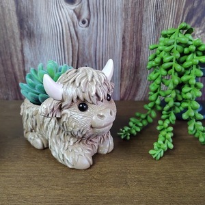 Avrupa yayla inek saksılar sevimli yarım yetiştiricilerinin bahçe yard balkon peyzaj süsler için güzel <span class=keywords><strong>yak</strong></span> etli tencere