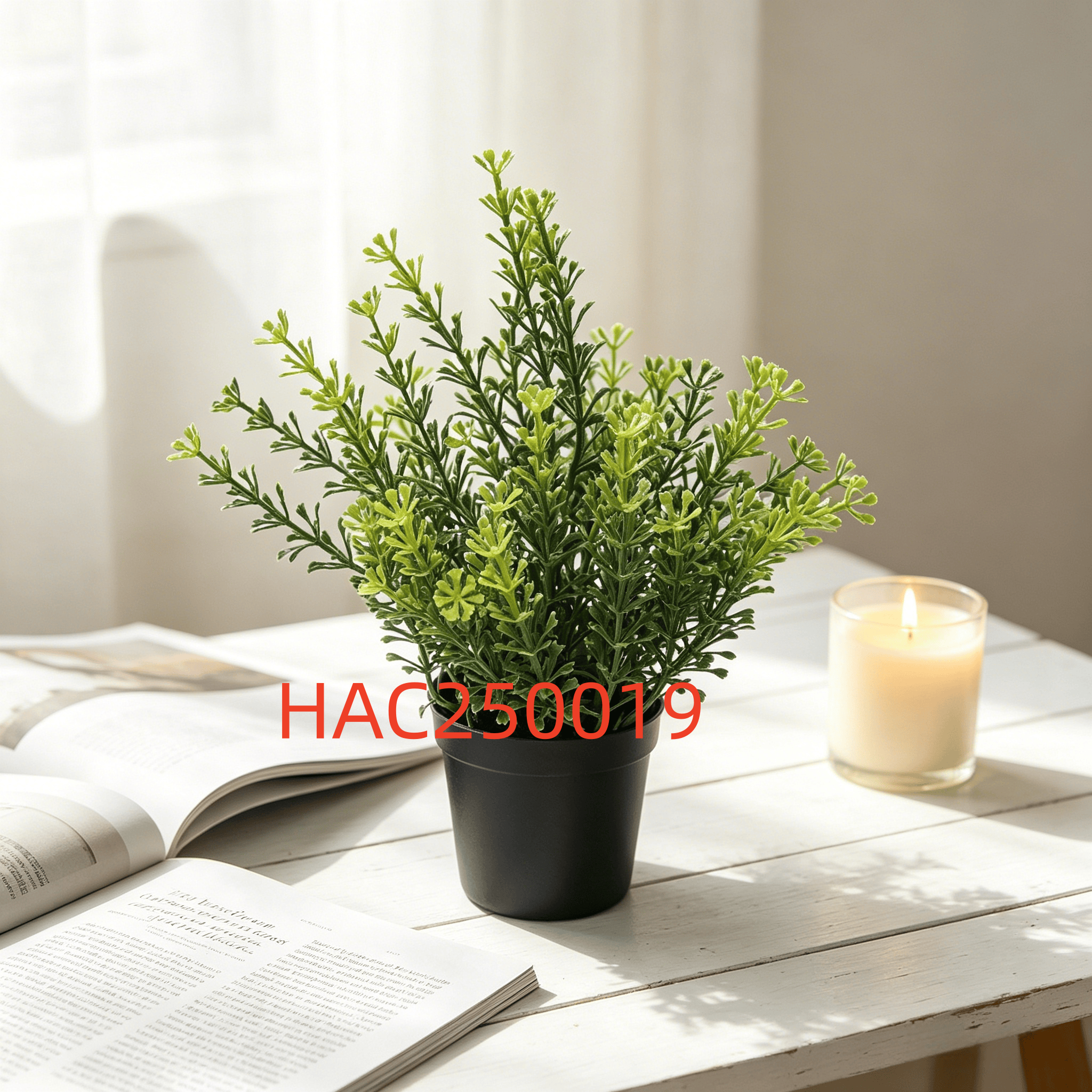 HAC250019