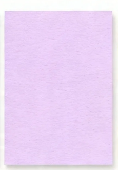 Prugna
