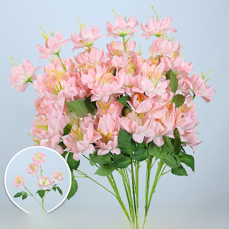 5 snow lotus flowers/1 stem
