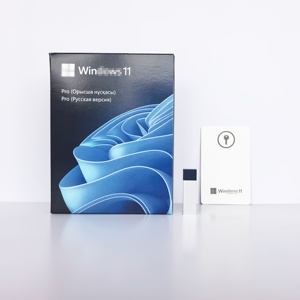 Win11 Pro Phiên Bản Nga FPP Hộp USB3.0 Coa Chứng Nhận OEM Toàn Cầu Trực Tuyến Kích Hoạt Win11Pro 6-Tháng Bảo Hành Nhanh Chóng Vận Chuyển - Product Image 1