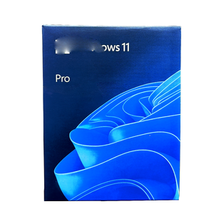 Win 11 Pro USB 3.0 Gói Trực Tuyến Kích Hoạt Win 11 Pro Giấy Phép - Product Image 1