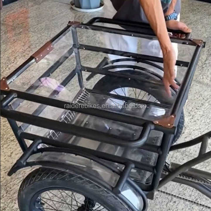 RaiderTrike-C202 Durable 3 Wheel Mid Motor Pedal Assist Electric Cargo Bikes Electric Tricycles for Adults