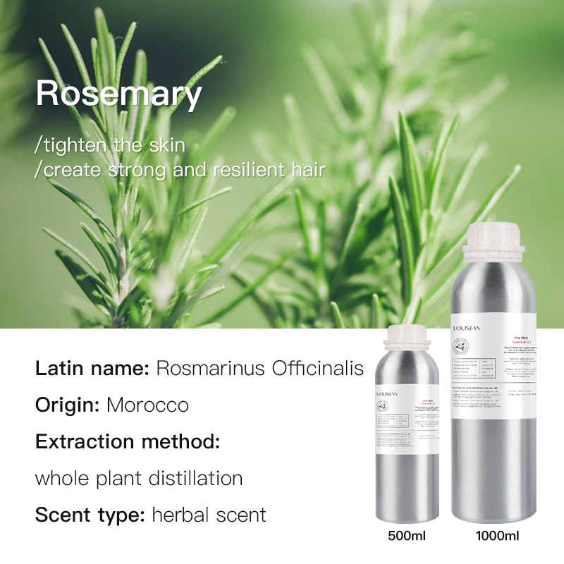 Romarin (Maroc)
