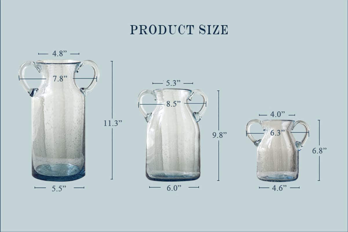 Noah Decoration Double Ear Hand-Blown and Handmade Transparent Glass Vase for Home and Wedding Decoration