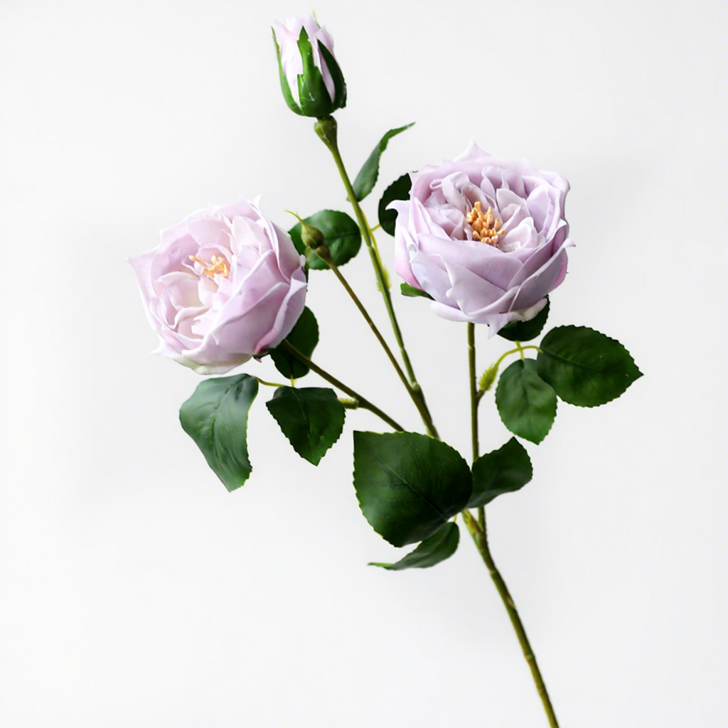 Light Purple