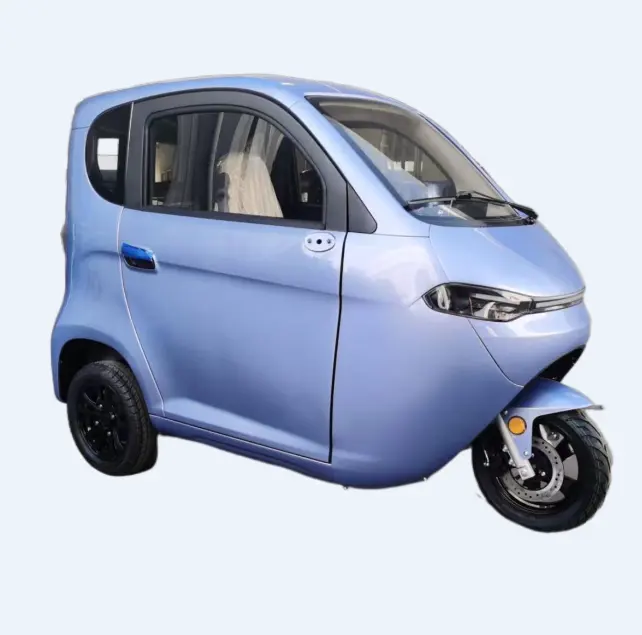 CE 인증서 3000W/45kmh 2 승객을위한 전기 동봉 스쿠터 3 성인용 휠 전기 자동차