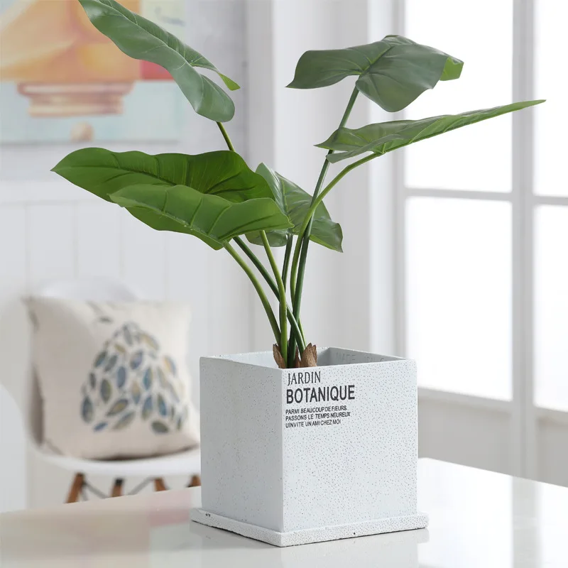 Blanc + perforé avec plateau