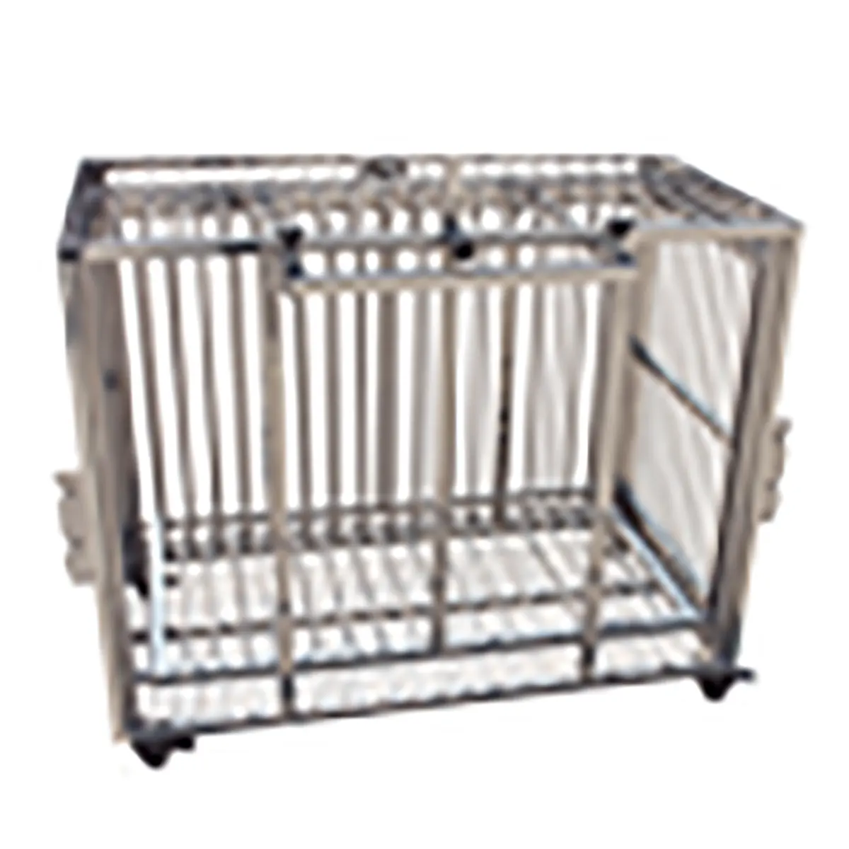 Cage d'injection en acier inoxydable portable, chariot pour animaux de compagnie/chats et chiens avec fermeture de porte automatique