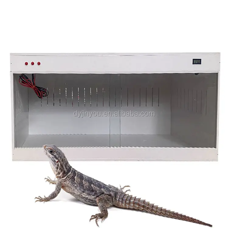 120x60x60cm, grand conteneur de reptiles en PVC, cage d'animaux de reptiles de dragon barbu de lézard boa, support personnalisé, vente en gros