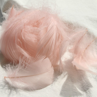 แชมเปญสีสันสดใส