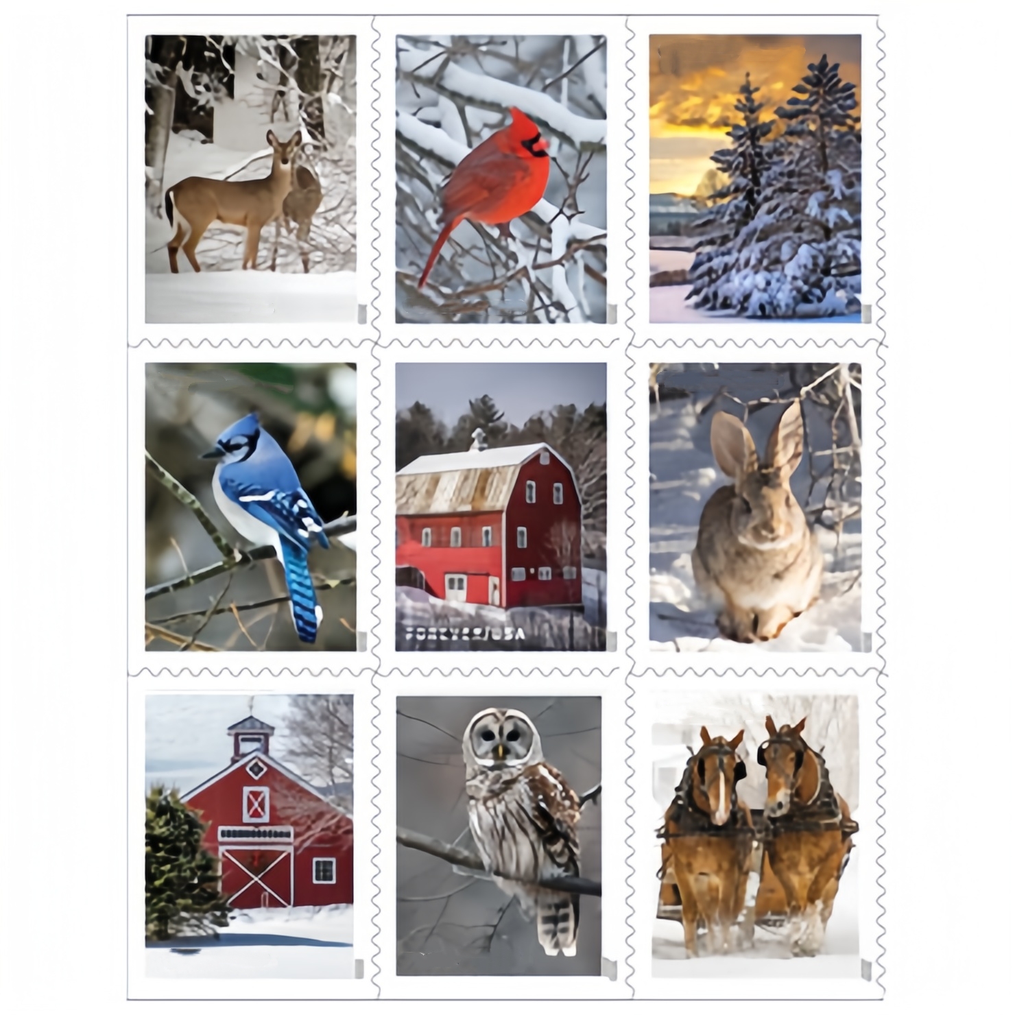 Scènes d'hiver 2020 500374-B5-16-20XJ