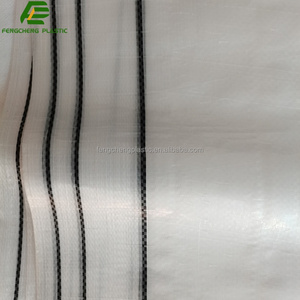 Telo in tela intessuto in HDPE trasparente per uva copri pioggia foglio con fori - Product Image 5